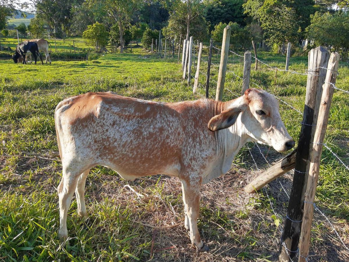 Pousada Roseira Lagoinha Sp Bagian luar foto